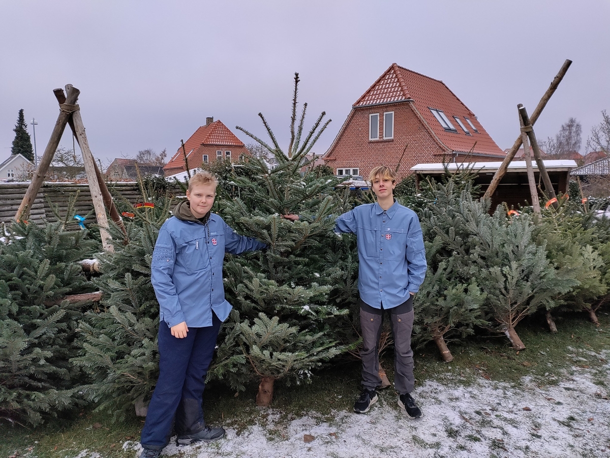 Hjælp os med at sprede juleglæde - Sælg juletræer med os